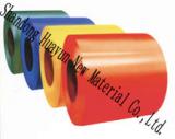 prepainted steel coils